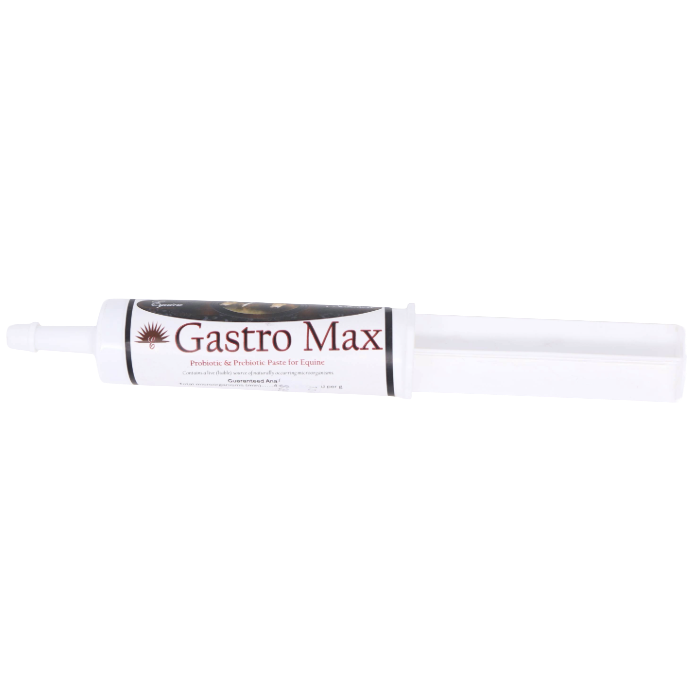 Gastro Max