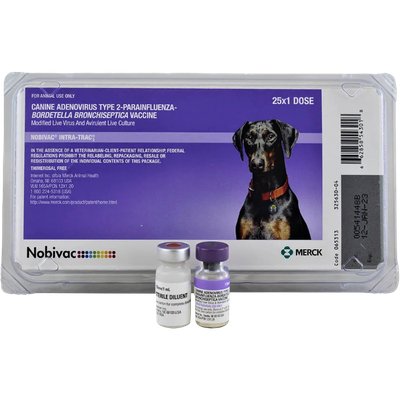 Nobivac Intra-Trac 3/Kennel Cough/Nasal