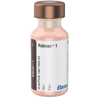 Rabvac 1 (Rabies Vaccine)