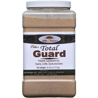 Total Guard