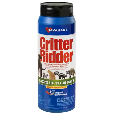 1.25lb Critter Rider