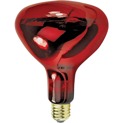 250W Heat Lamp Bulb