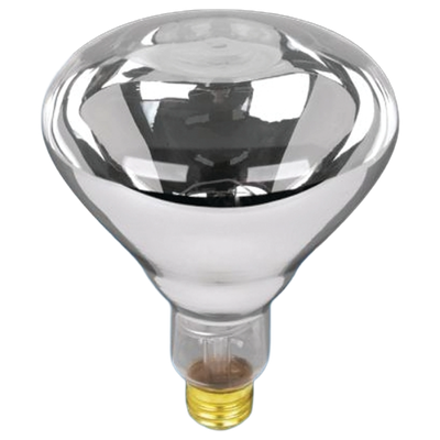 250W Heat Lamp Bulb