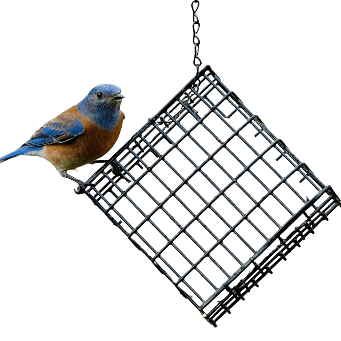 4.25" X 1" Suet Feeder Basket