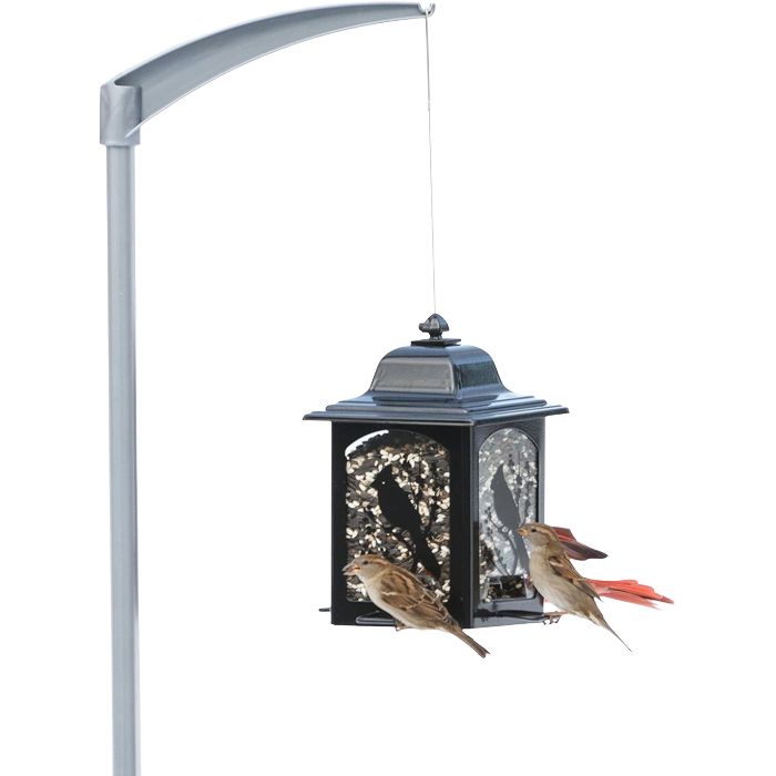Bird Feeder Pole