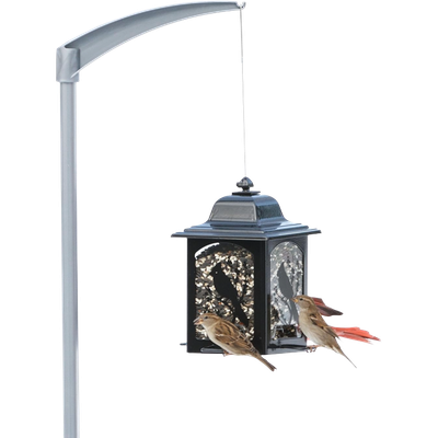 Bird Feeder Pole