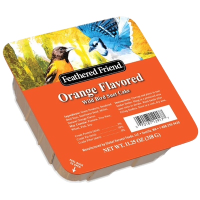 Bird Food Suet