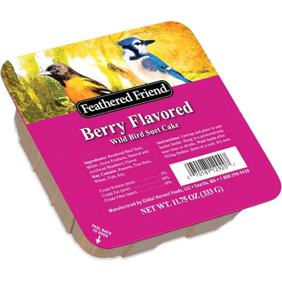 Bird Food Suet
