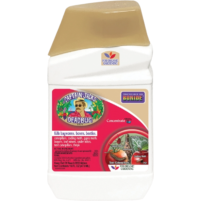 Brew Dead Bug  Liquid Concentrate Pint