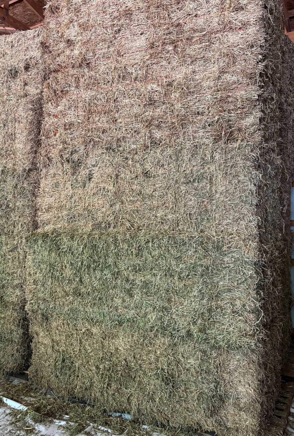 Alfalfa Hay - Bundle of 21