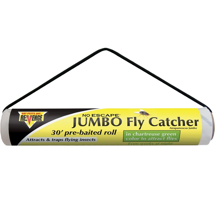 Jumbo Fly Catchers