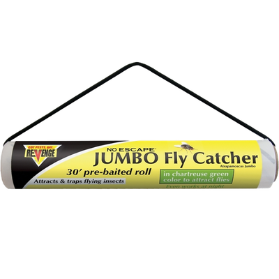 Jumbo Fly Catchers