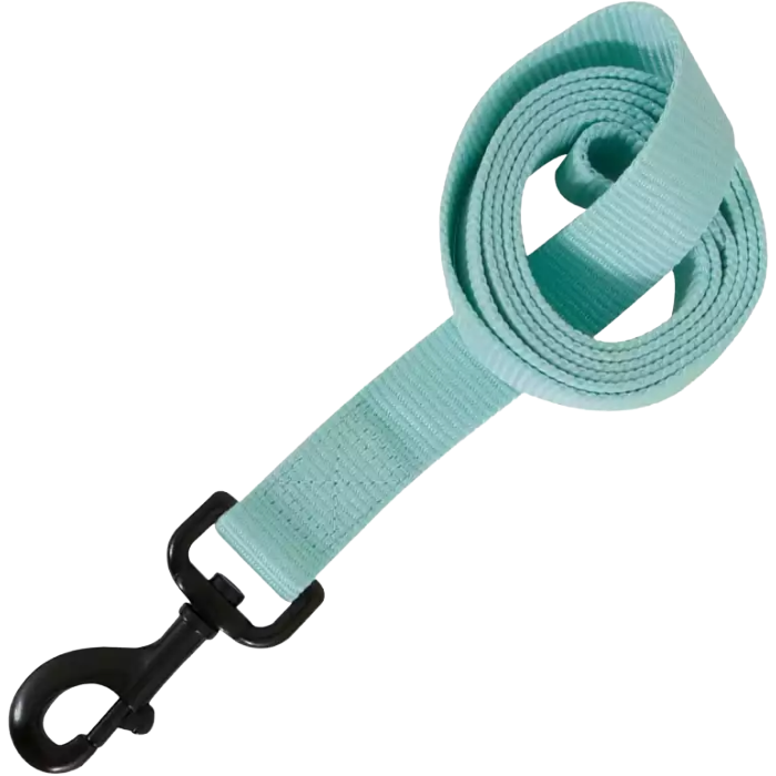 Leash Pet Glow 1" X 4' Blue