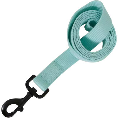 Leash Pet Glow 1" X 4' Blue