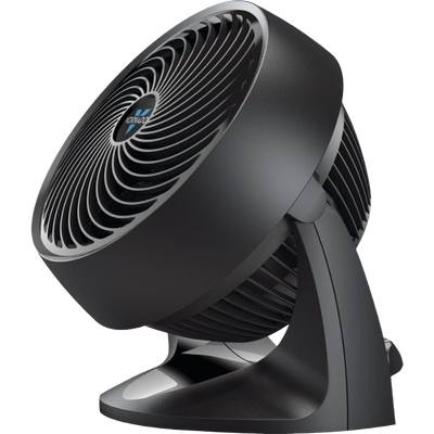 Medium Black Fan