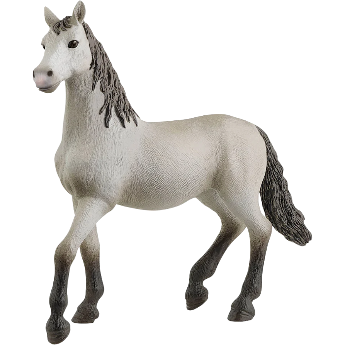 Pura Raza Española Young Horse