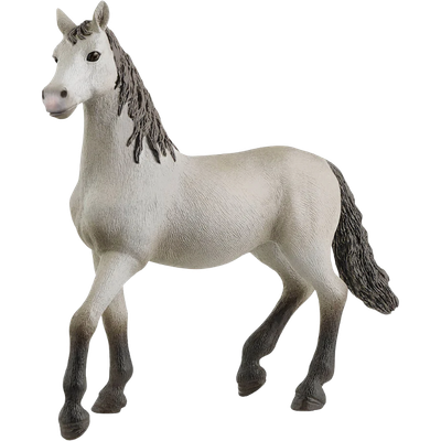 Pura Raza Española Young Horse