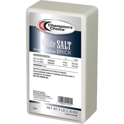 White Salt Block