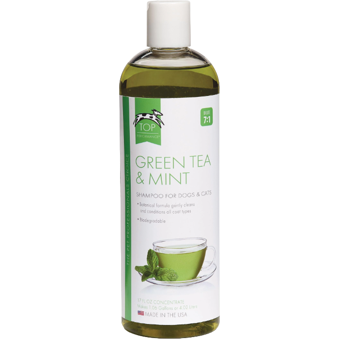 Green Tea &amp; Mint Shampoo