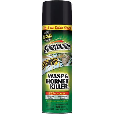 Wasp &amp; Hornet Spray