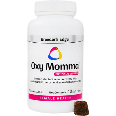 Oxy Momma