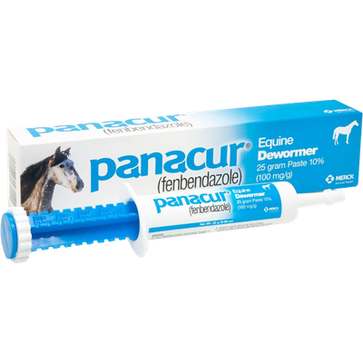 Panacur Horse Dewormer
