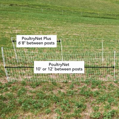 DS PoultryNet Plus 12/48/3