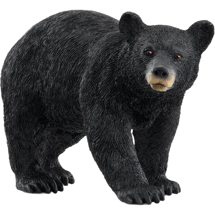Black Bear Schleich
