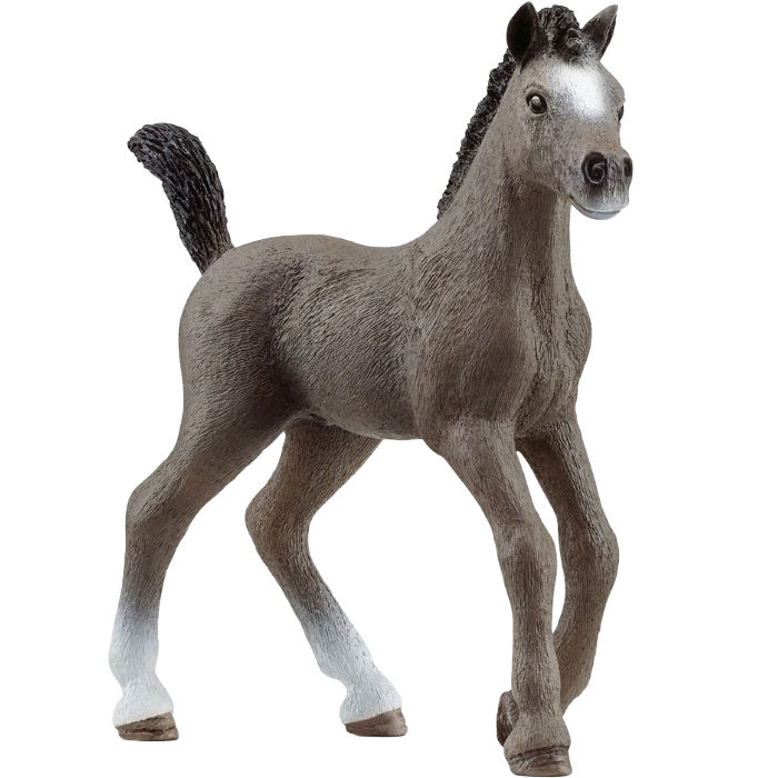 Schleich Cheval de Selle Francais Foal