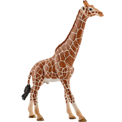 Schleich Giraffe, Male