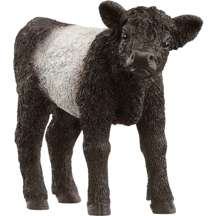 Schleich Galloway Calf