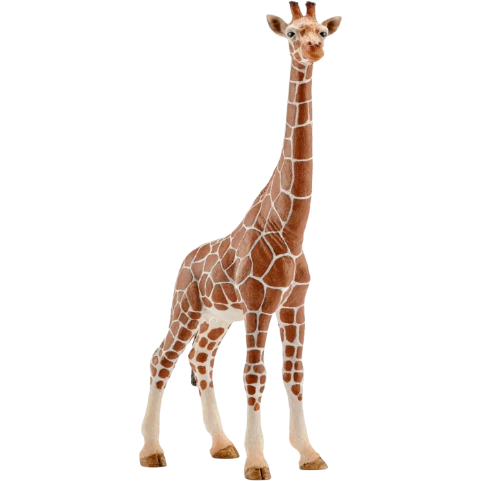Schleich Giraffe Female