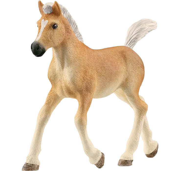 Schleich Haflinger Foal