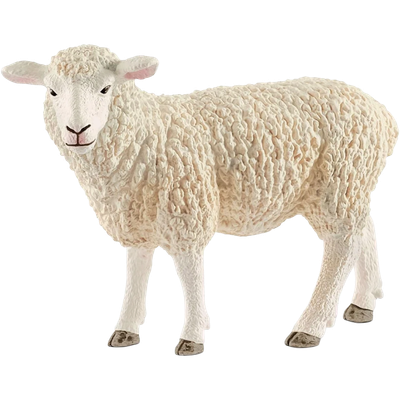 Schleich Sheep