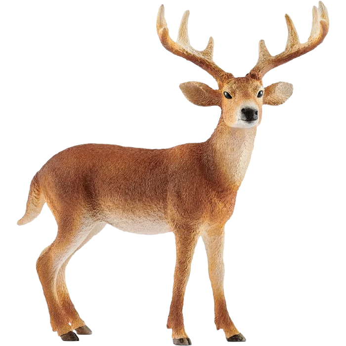Schleich White-Tailed Buck