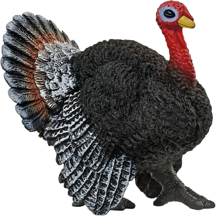 Schleich Turkey