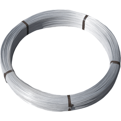 Brace Wire