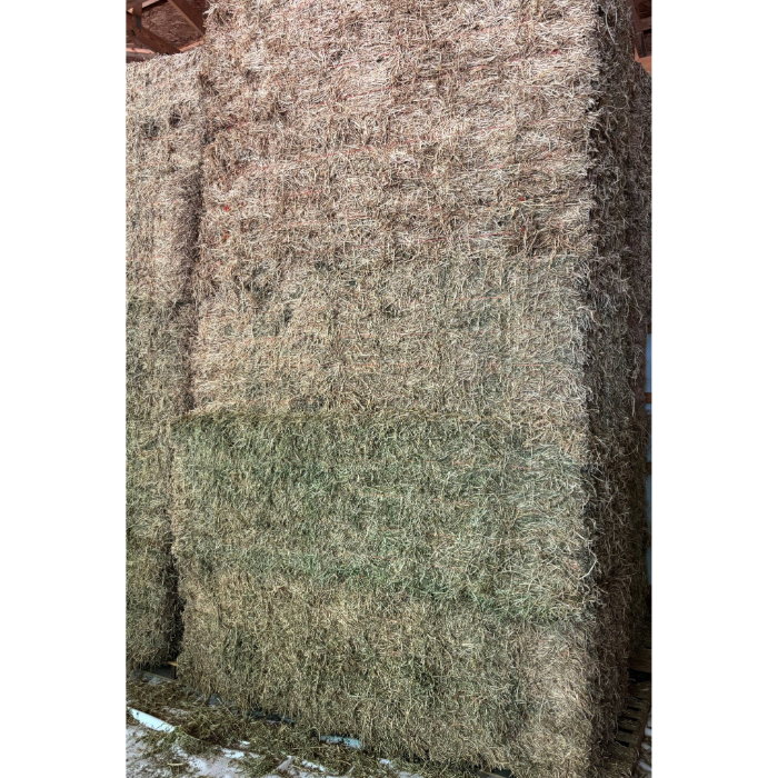 Alfalfa Hay  50-55 lb Bale