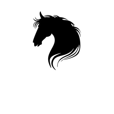 Horse Supplies