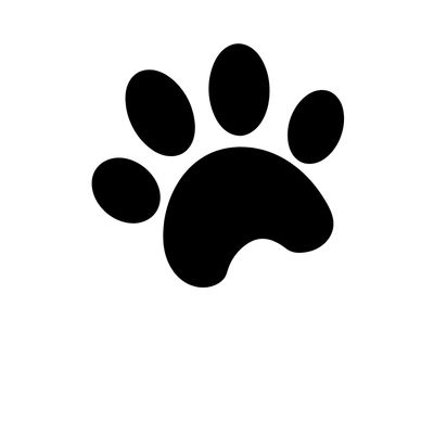 Dog Supplies &amp; Products