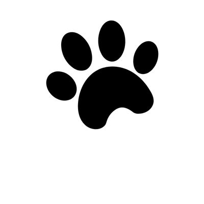 Dog Supplies &amp; Products