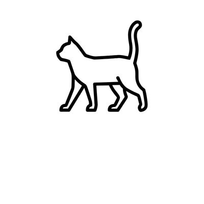 Cat Supplies