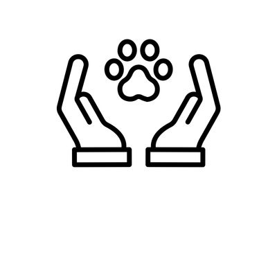 Pet Supplies &amp; Accessories