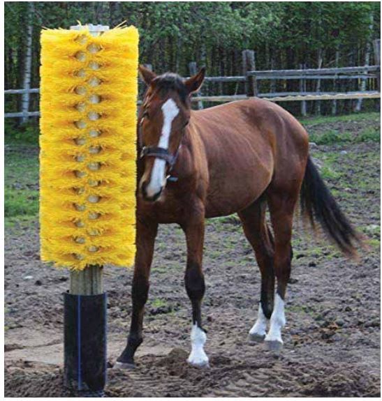 EASYSWING BRUSH, Size: TOTEM