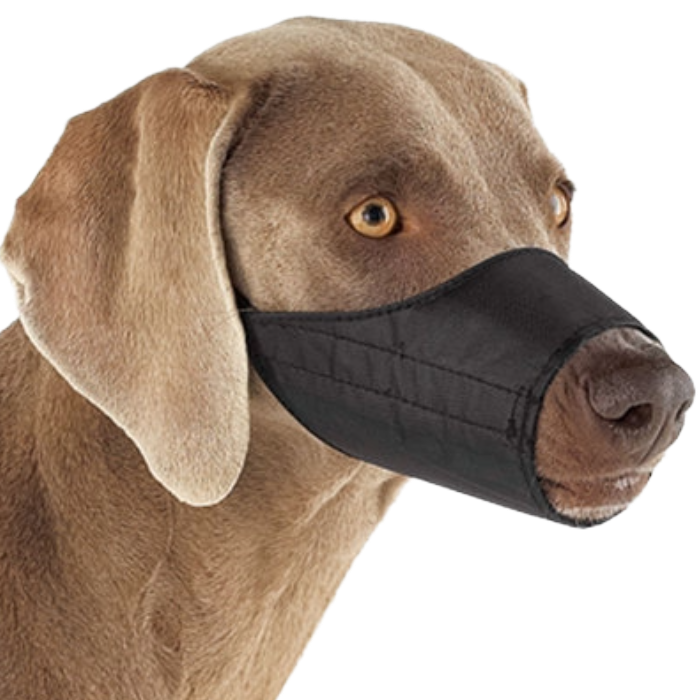 Nylon Black Dog Muzzle, Size: 0
