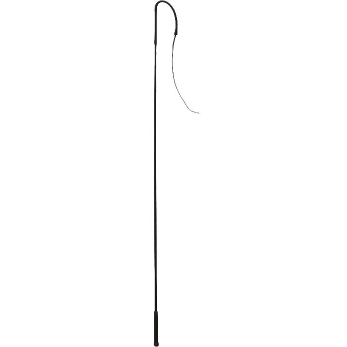Buggy Whip, Size: 48"