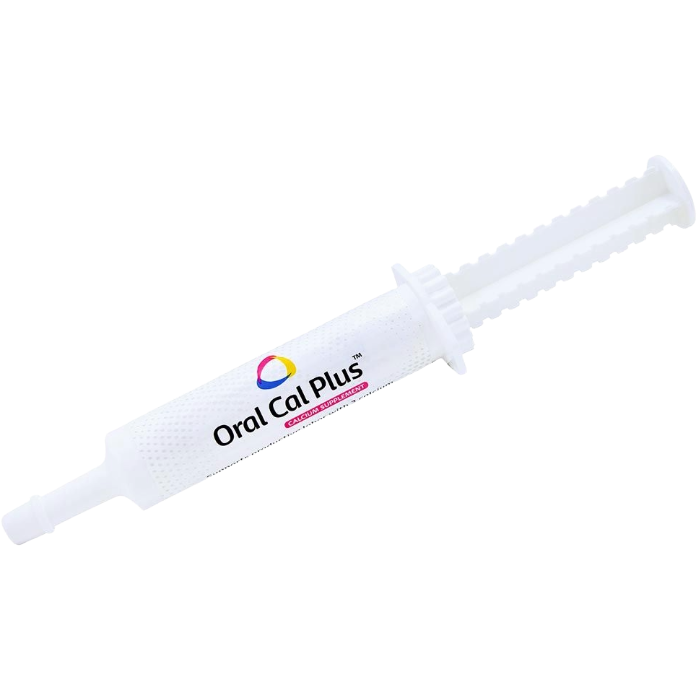 Oral Cal Plus, Size: 15ML