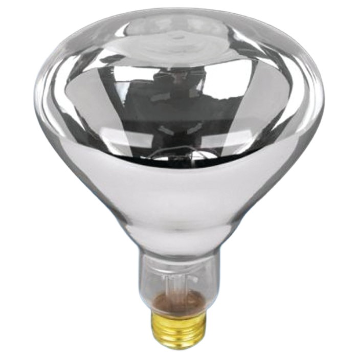 250W Heat Lamp Bulb, Type: Clear