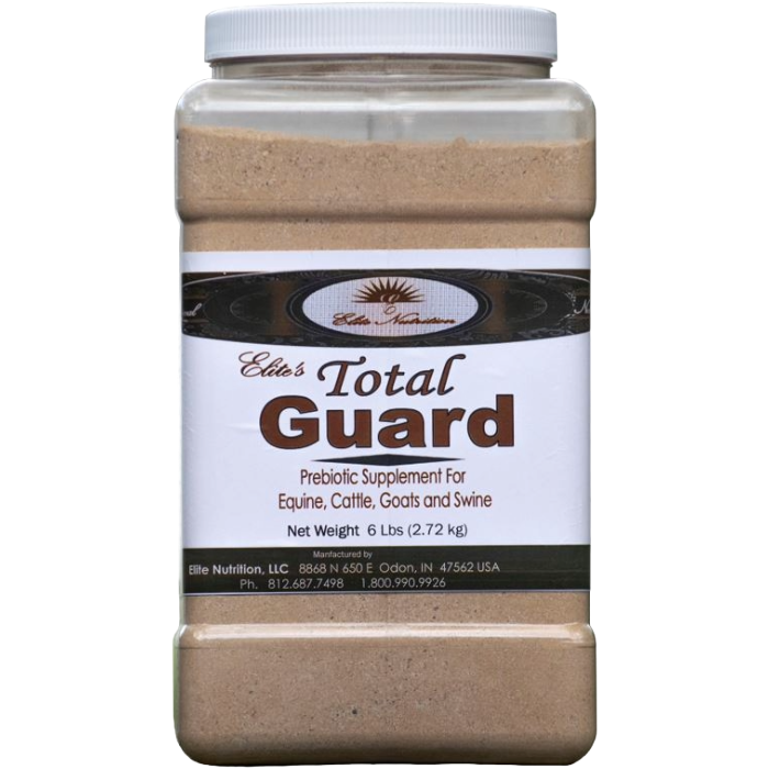 Total Guard, Size: 6lbs