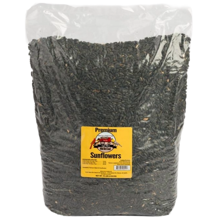 Premium Oil Sunflower Seed Bird Feed, Size: 5#